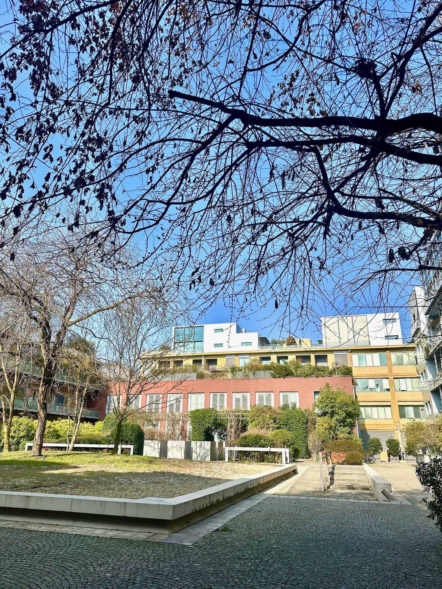 Courtyard garden