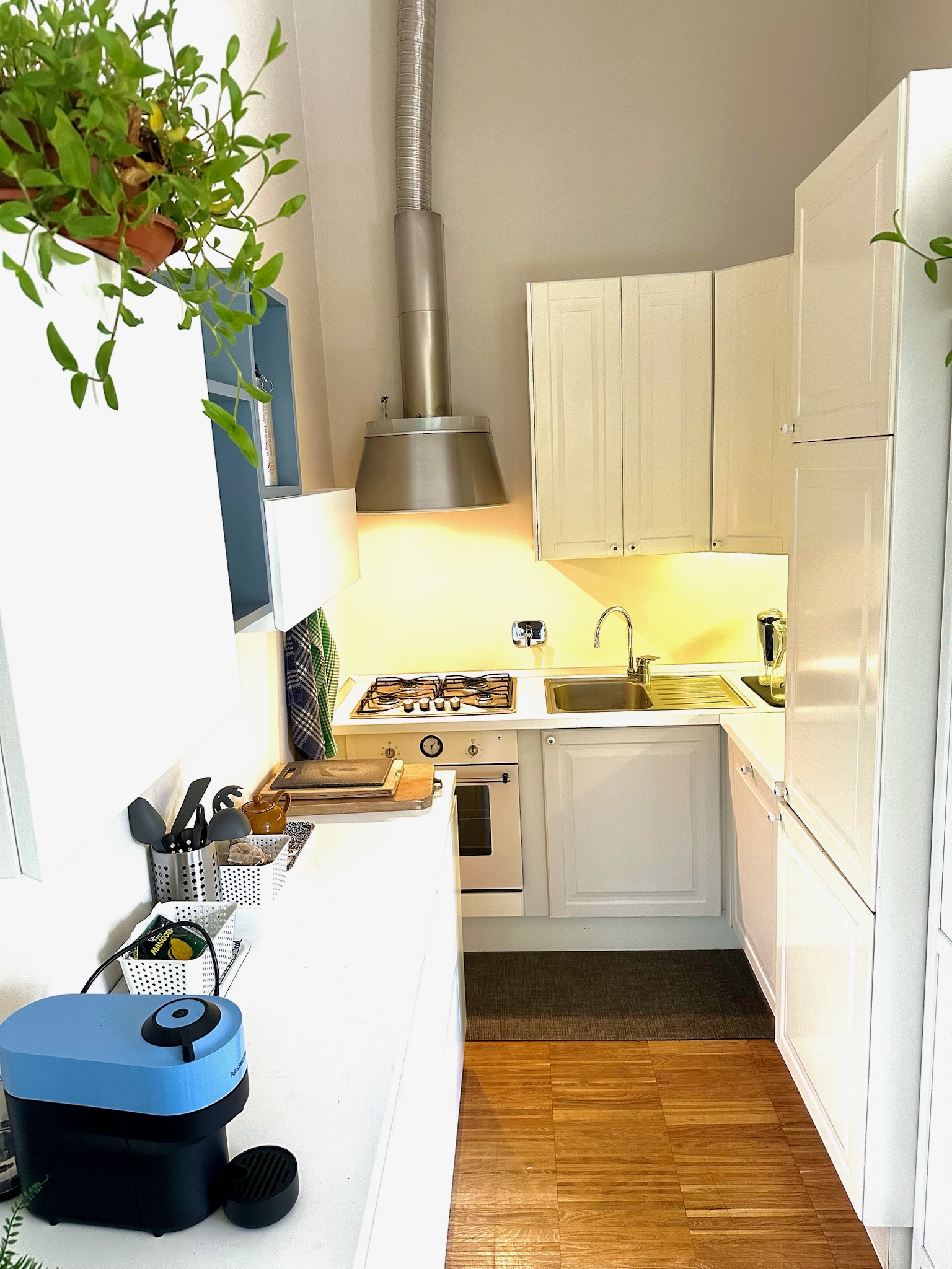 Full kitchen view